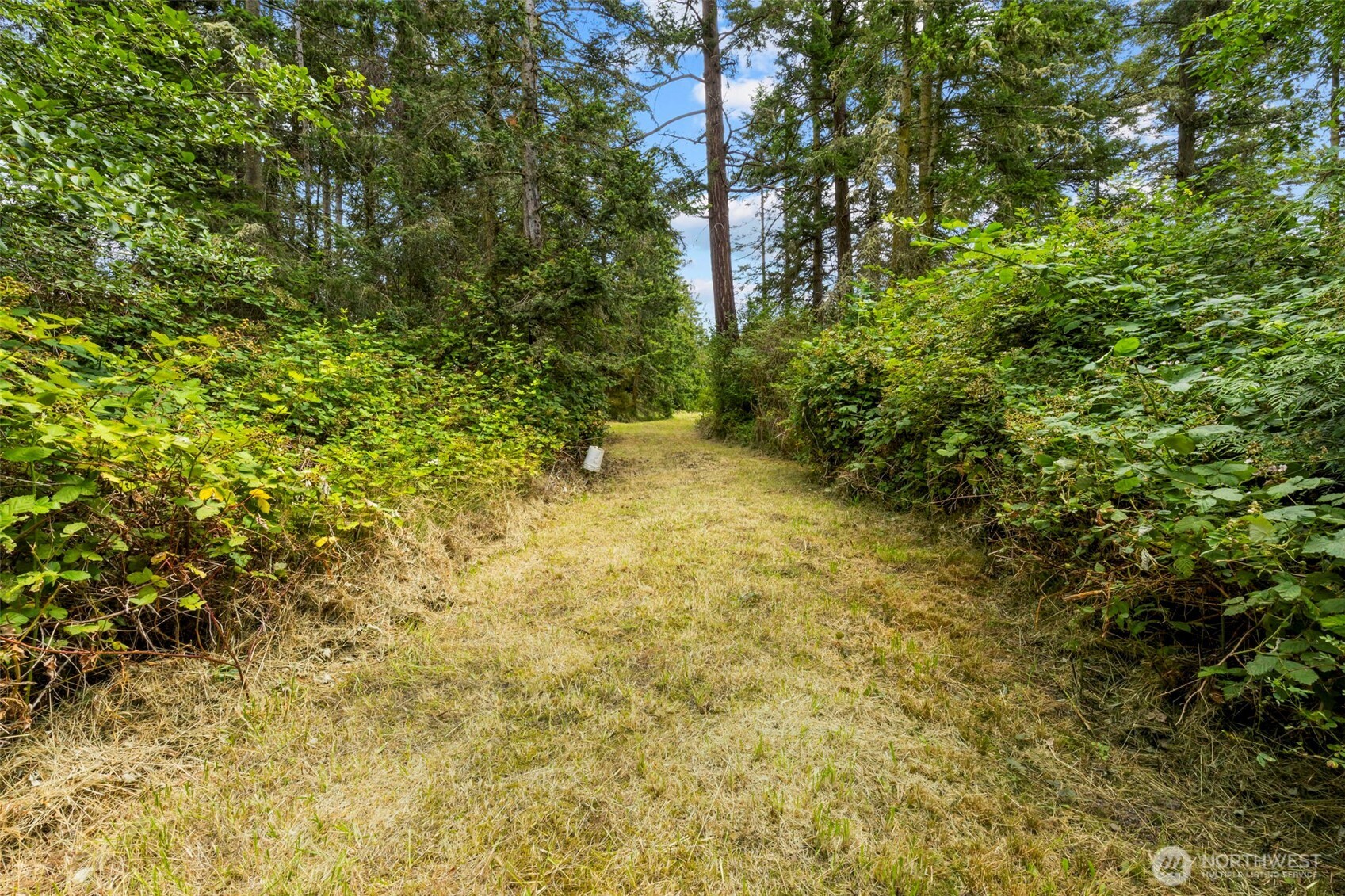 5081 Flagler Road Property Photo 31