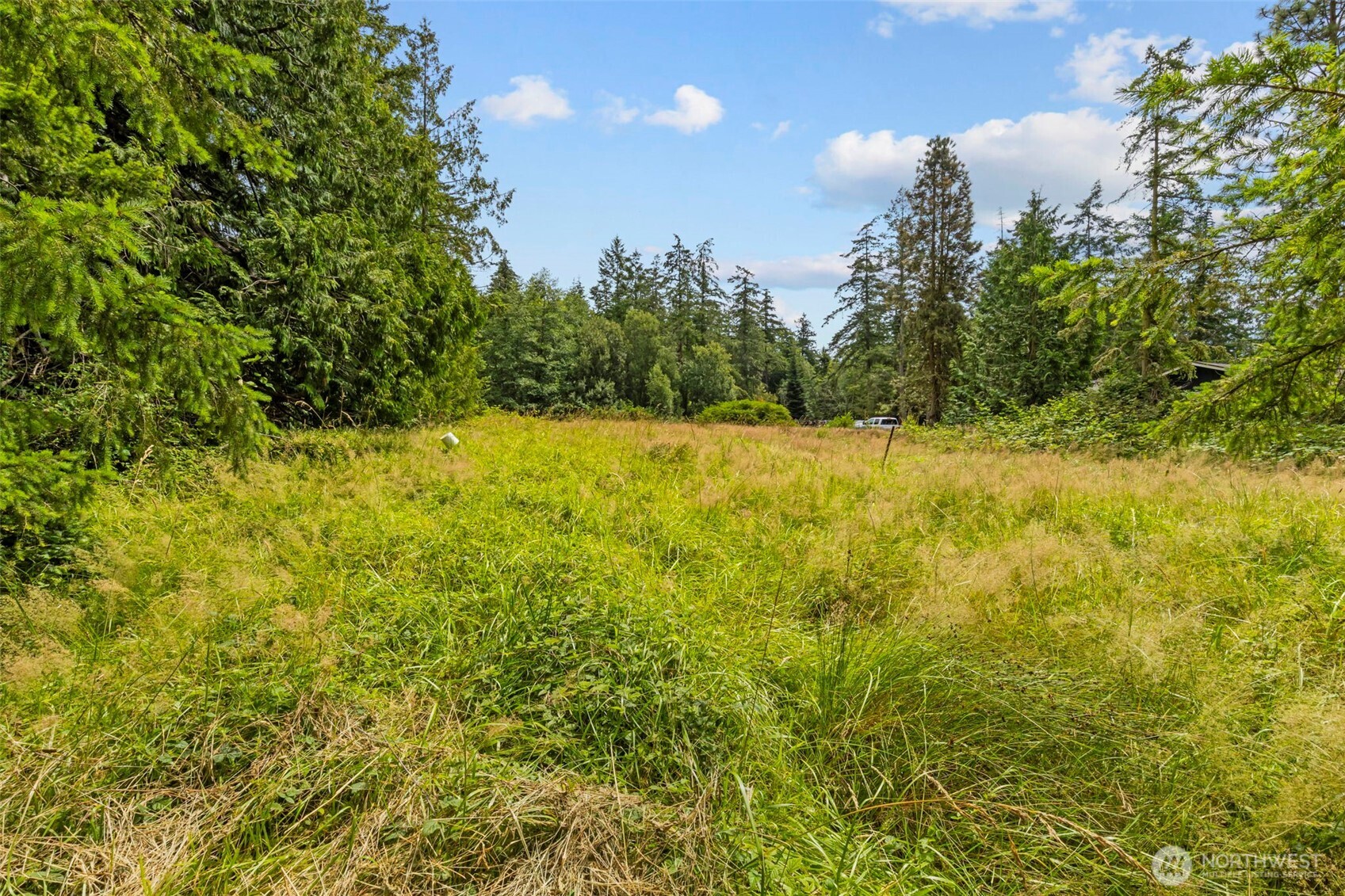 5081 Flagler Road Property Photo 32