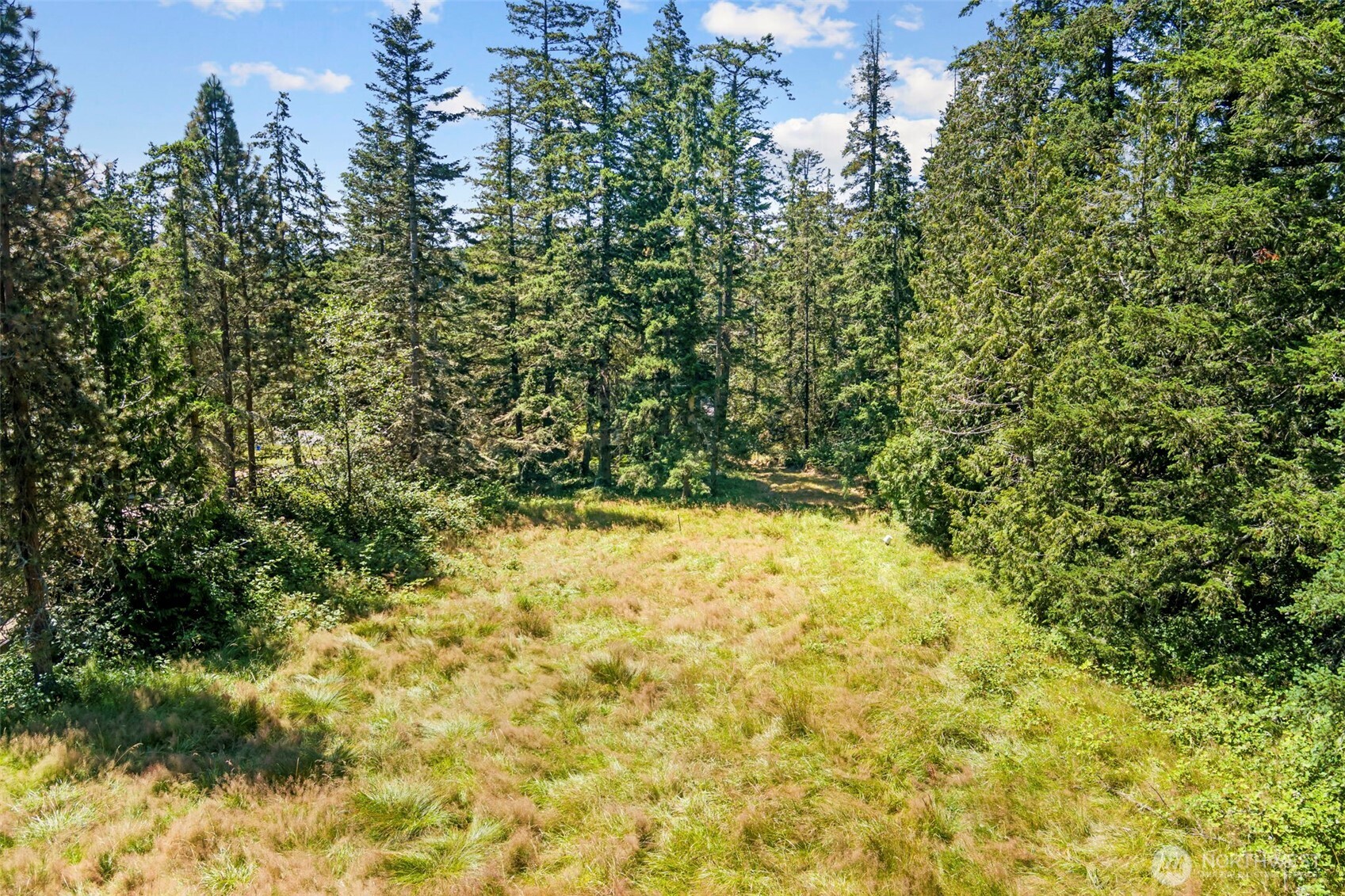 5081 Flagler Road Property Photo 33