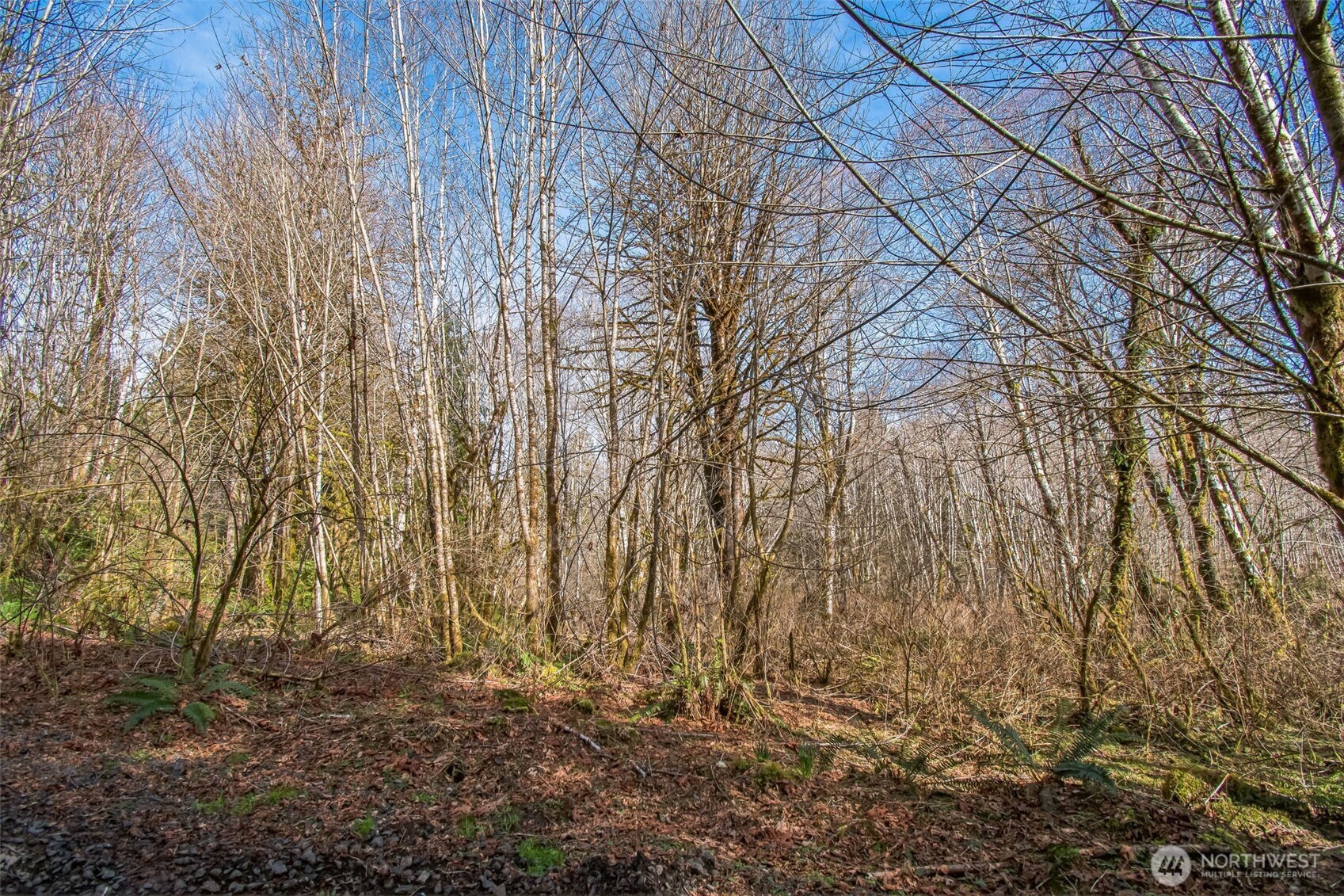 0 Xx W Reller Road Property Photo 2