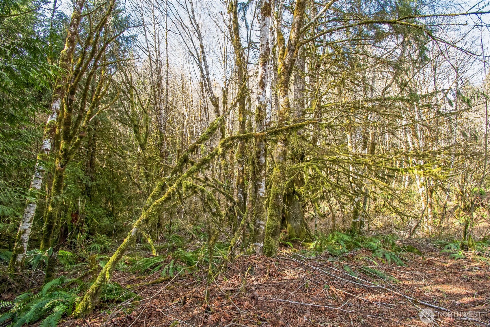 0 Xx W Reller Road Property Photo 3