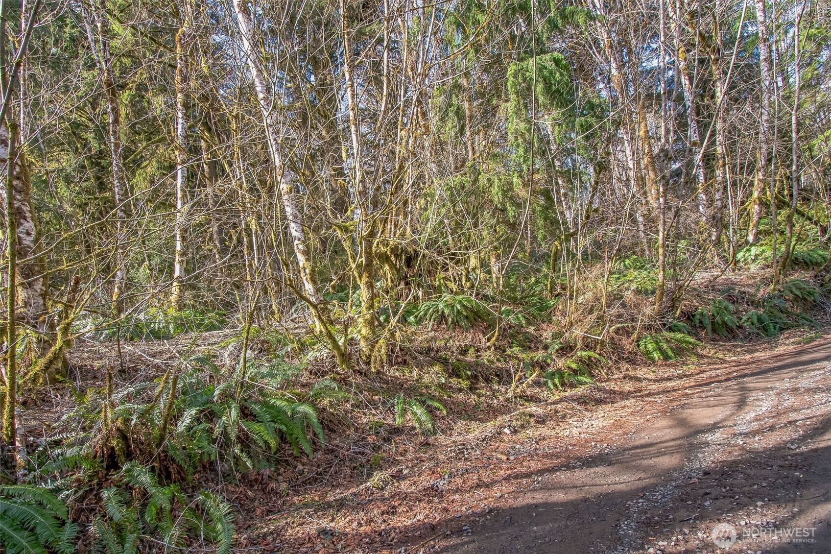 0 Xx W Reller Road Property Photo 4
