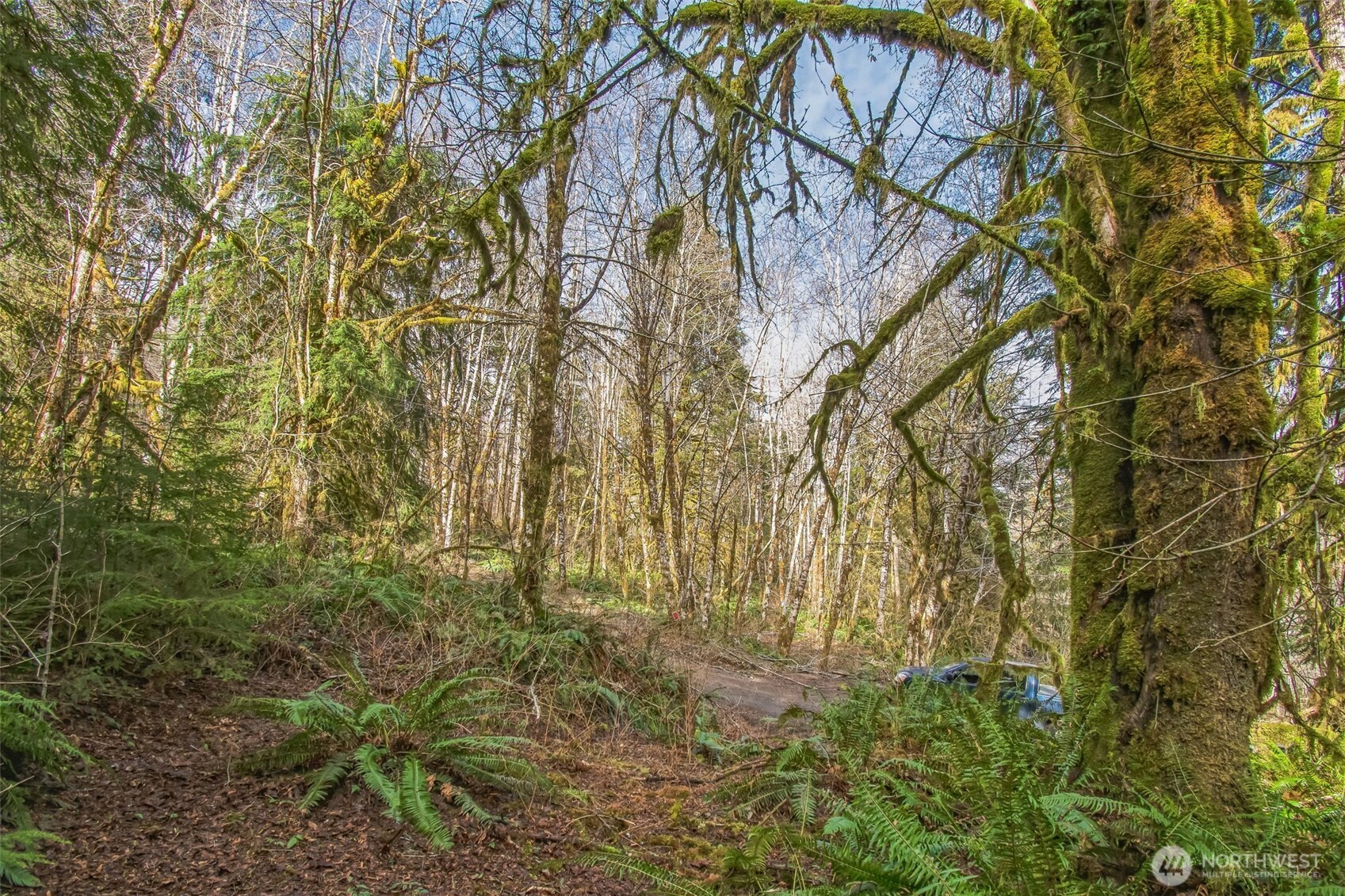 0 Xx W Reller Road Property Photo 5