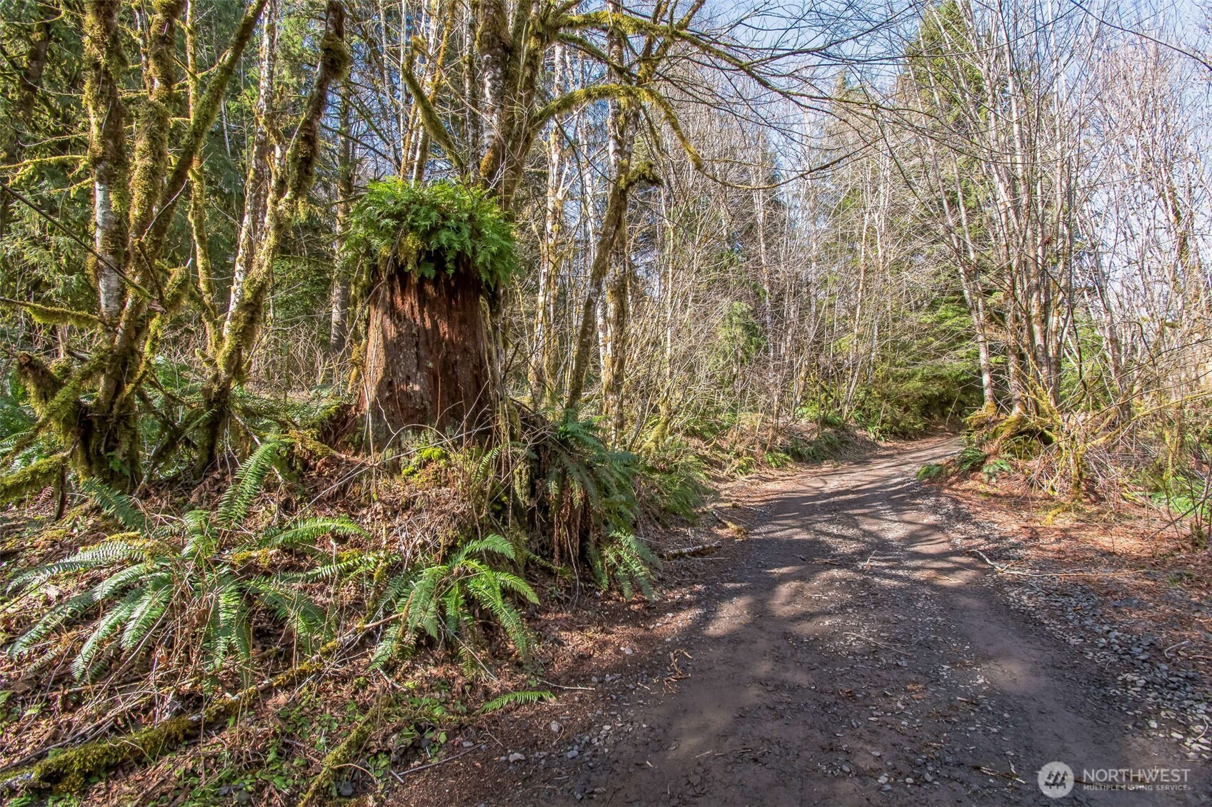0 Xx W Reller Road Property Photo 8