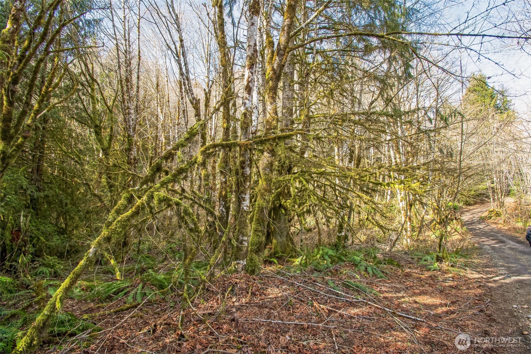 0 Xx W Reller Road Property Photo 9