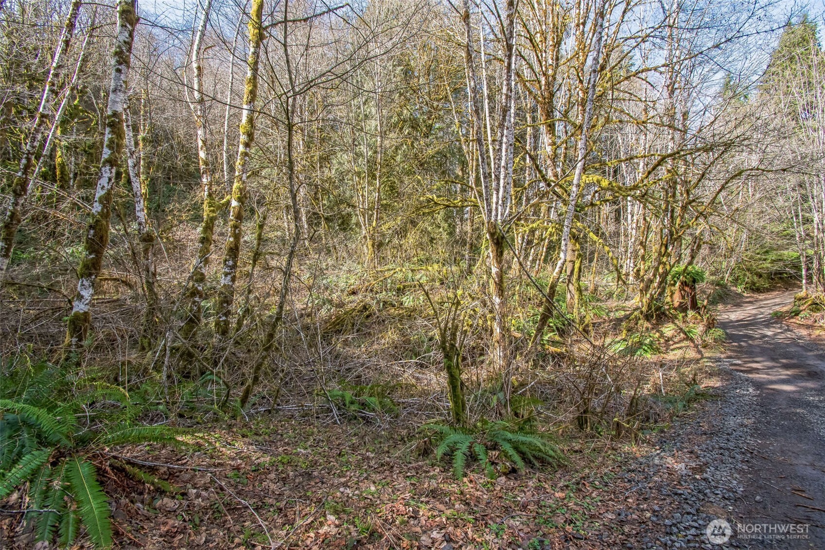 0 Xx W Reller Road Property Photo 10