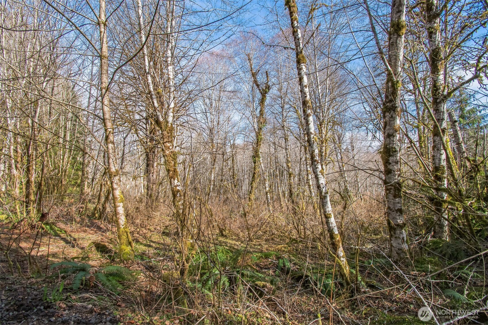0 Xx W Reller Road Property Photo 11