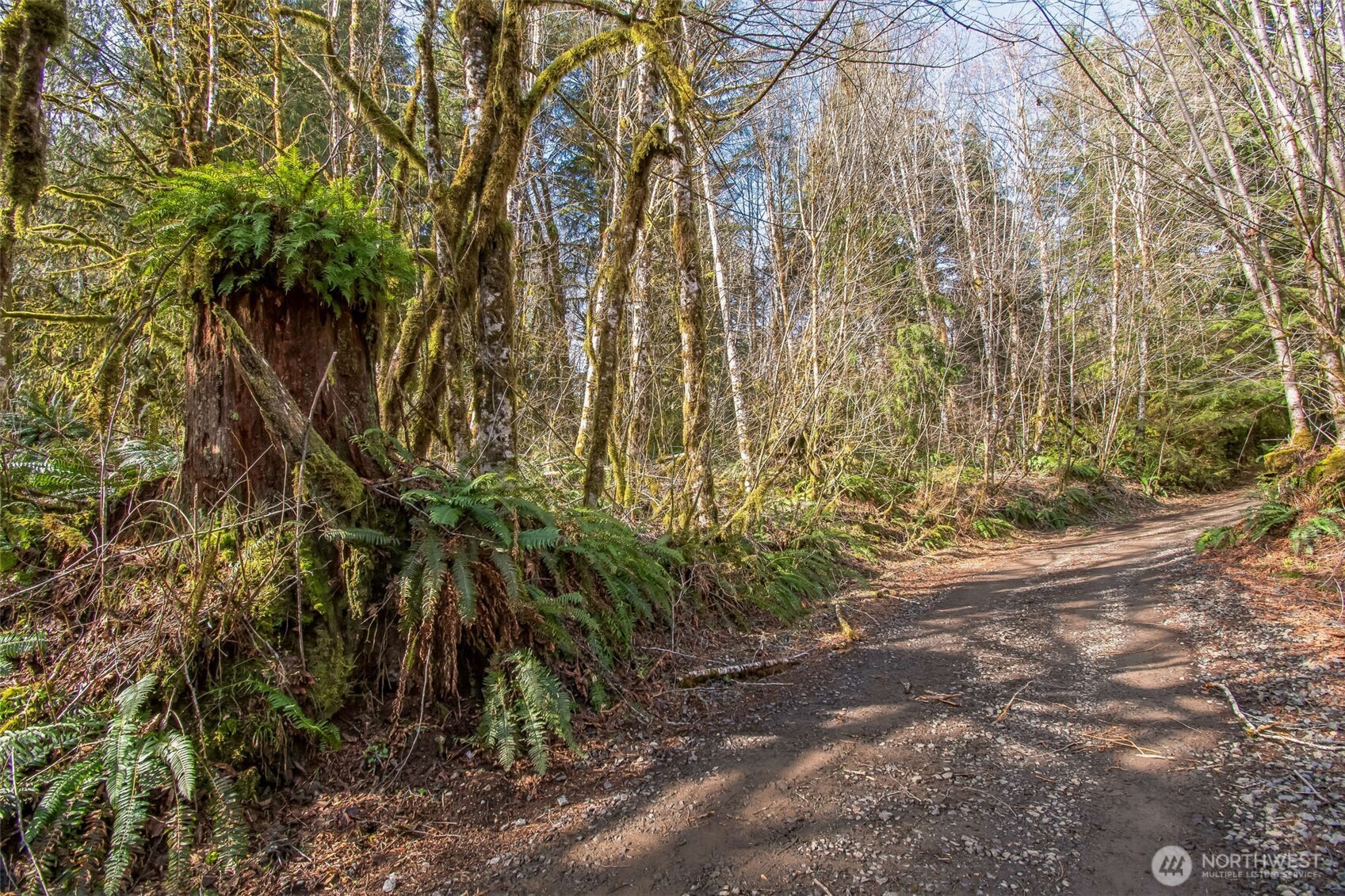 0 Xx W Reller Road Property Photo 12