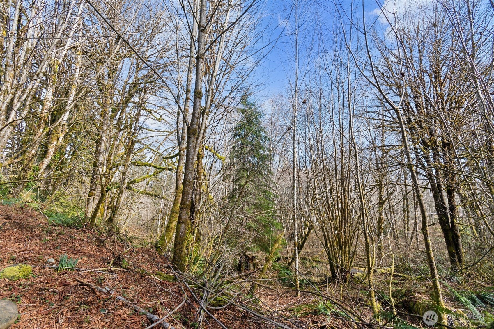 0 Xx W Reller Road Property Photo 13