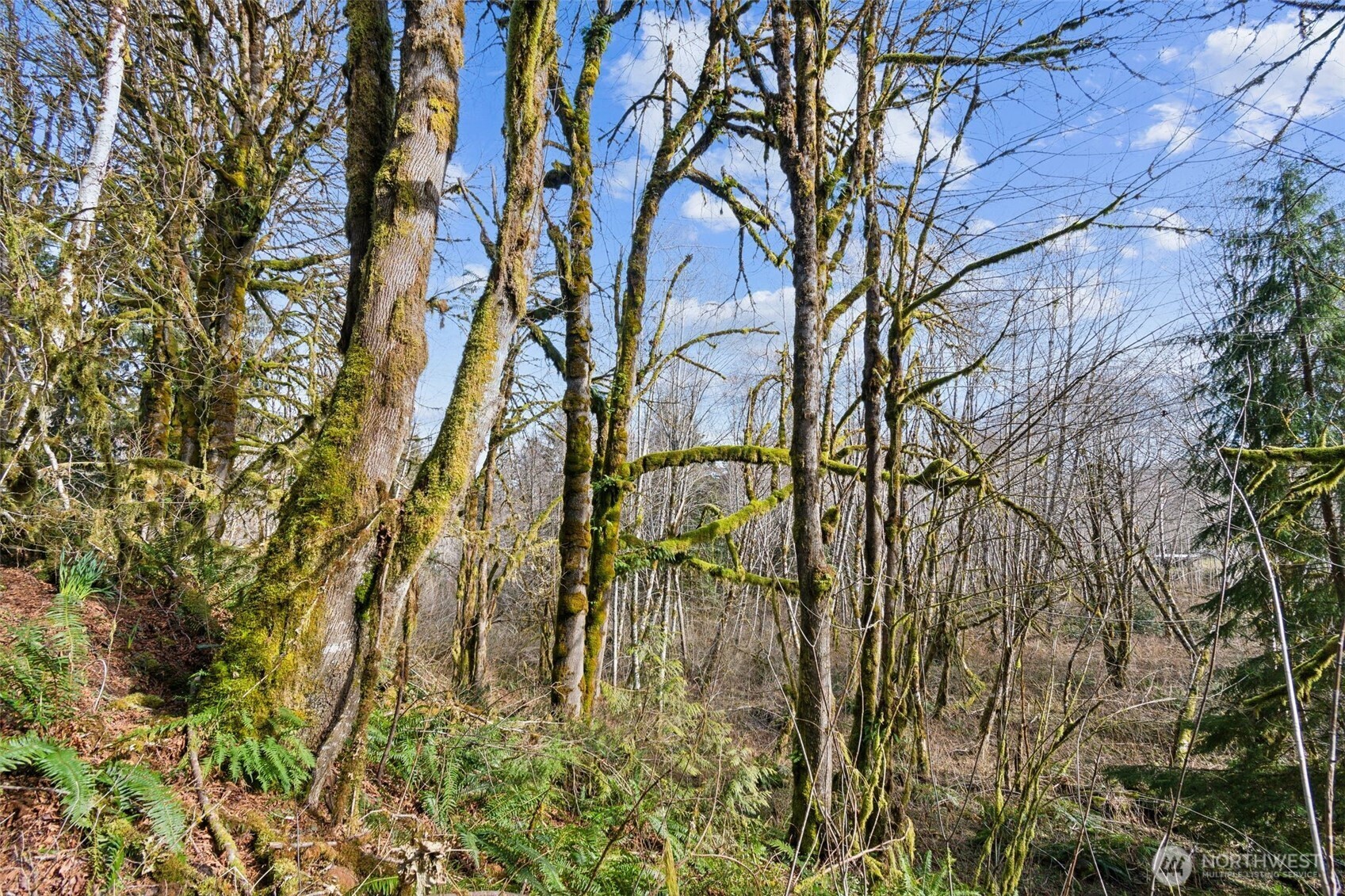 0 Xx W Reller Road Property Photo 15