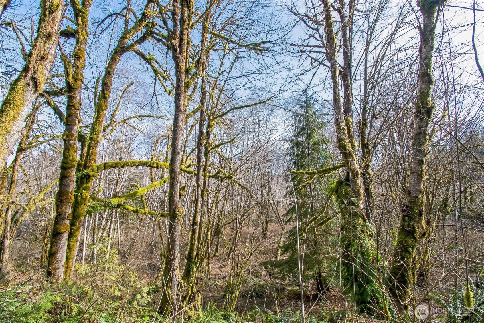 0 Xx W Reller Road Property Photo 16