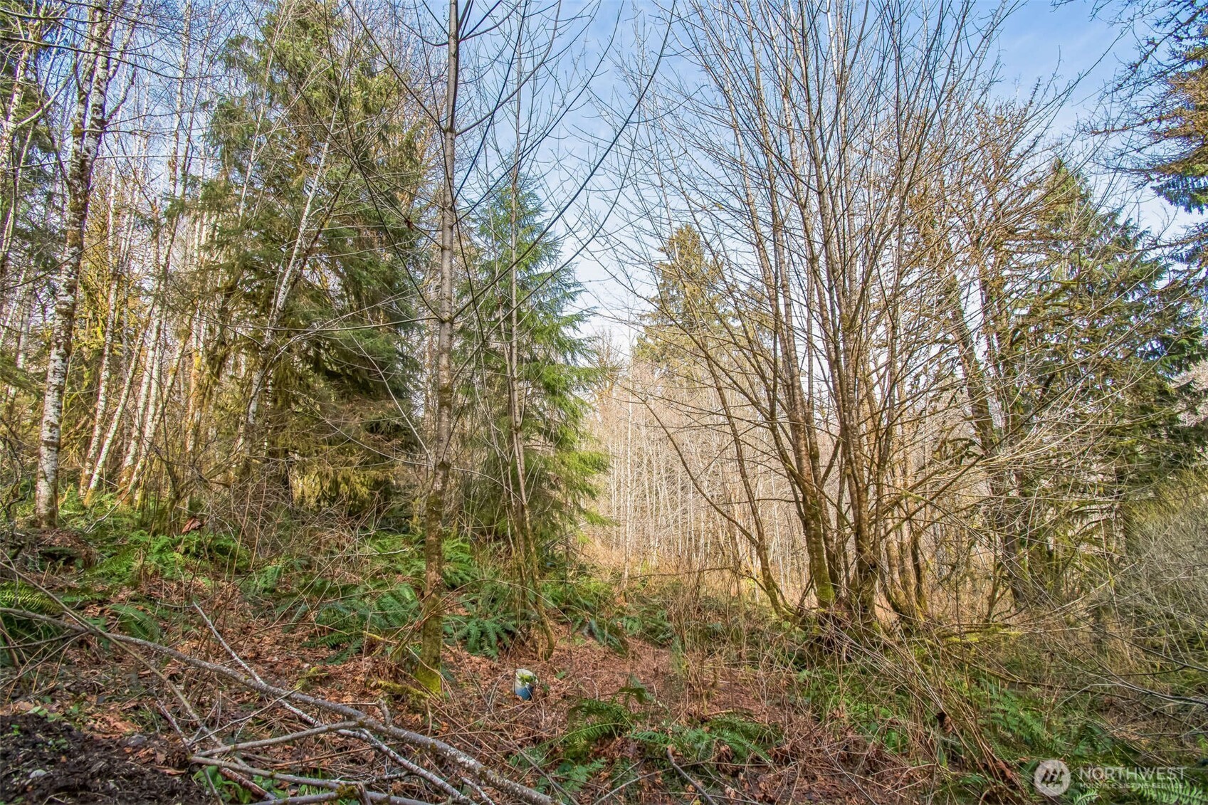 0 Xx W Reller Road Property Photo 17