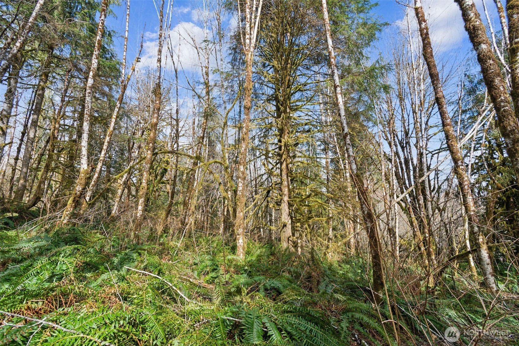0 Xx W Reller Road Property Photo 18