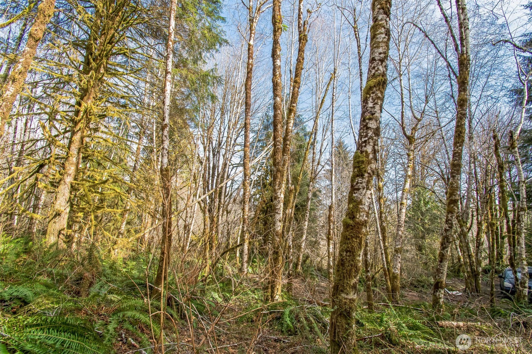 0 Xx W Reller Road Property Photo 19