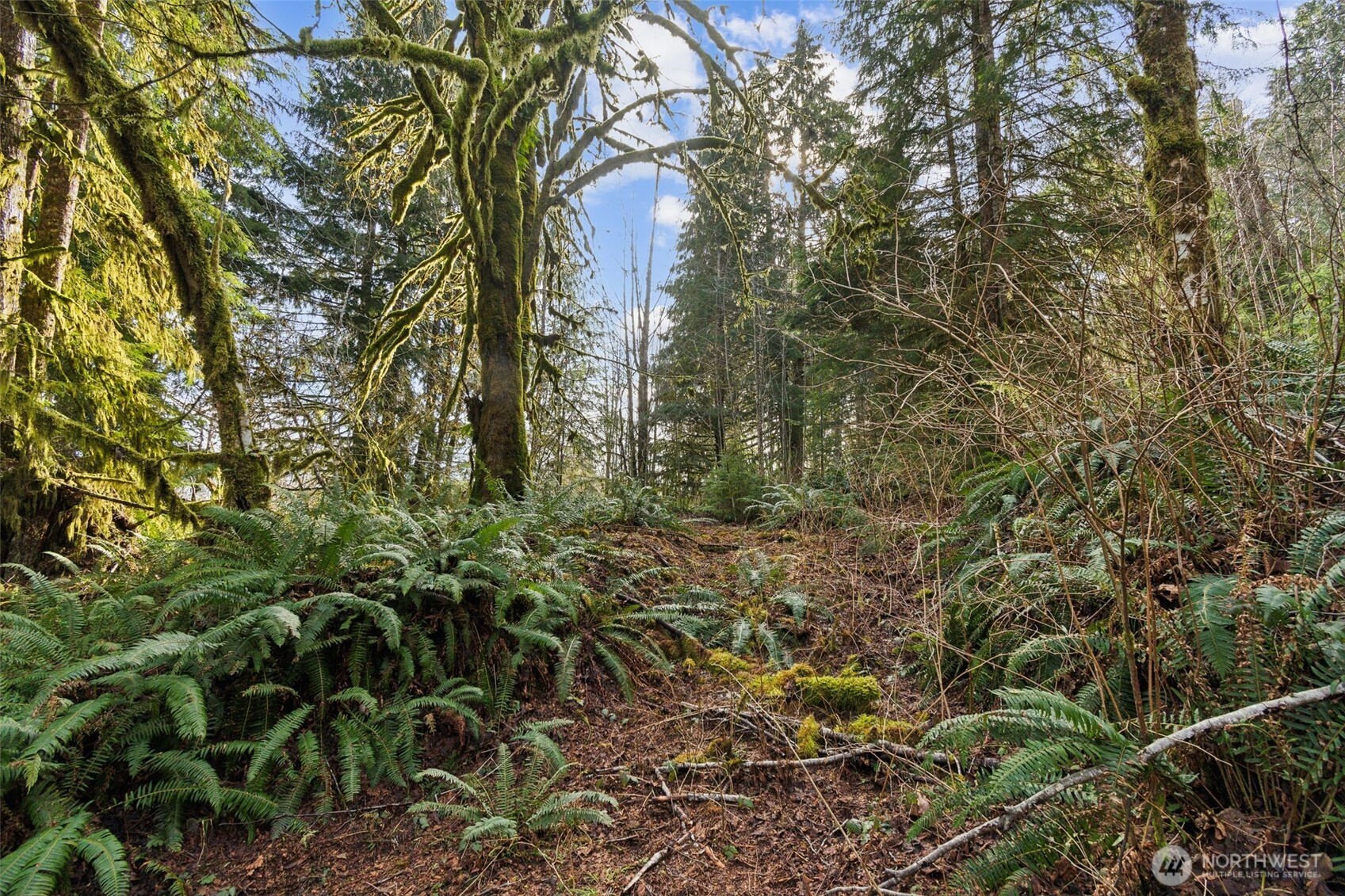 0 Xx W Reller Road Property Photo 23