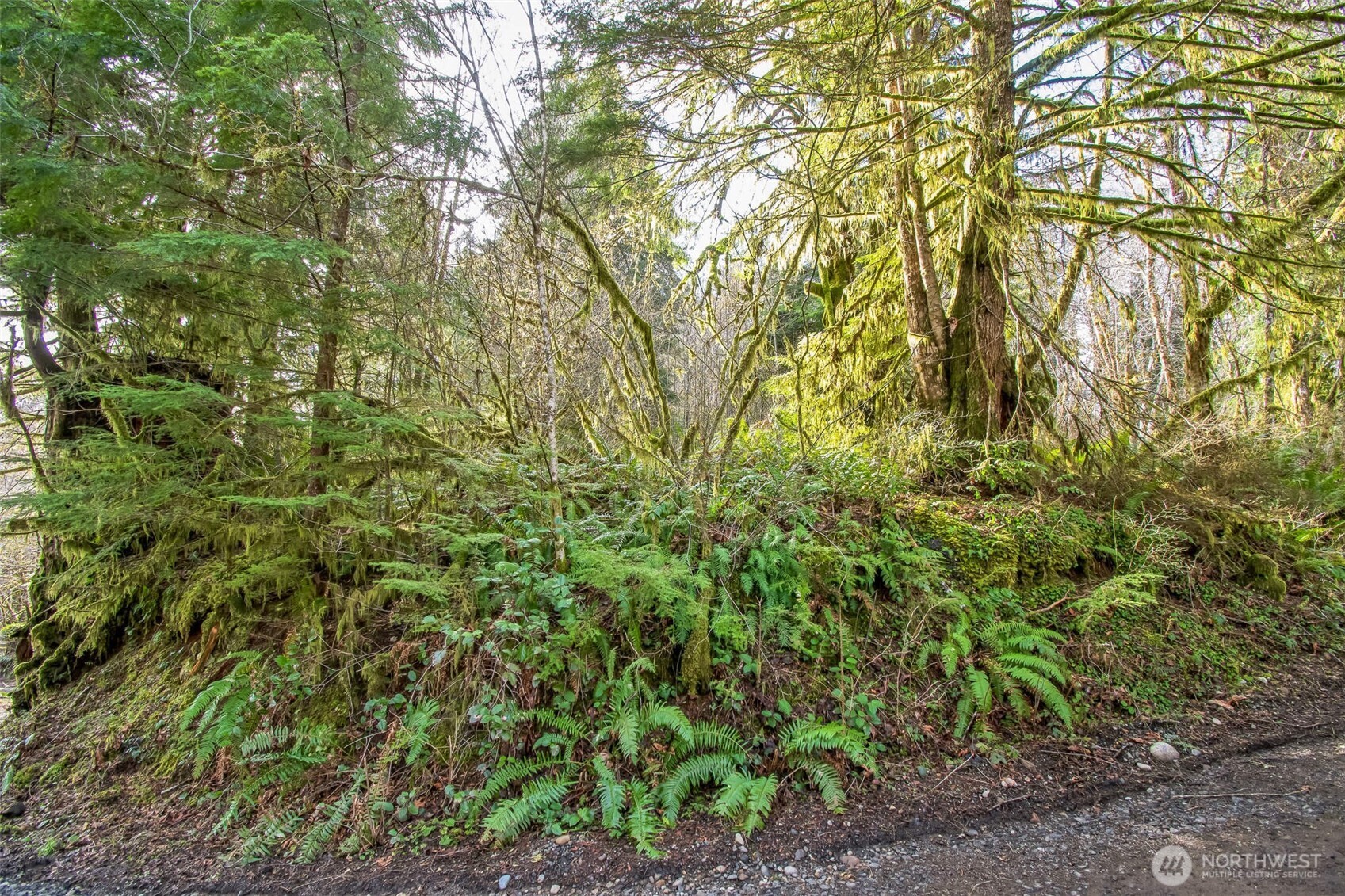 0 Xx W Reller Road Property Photo 24