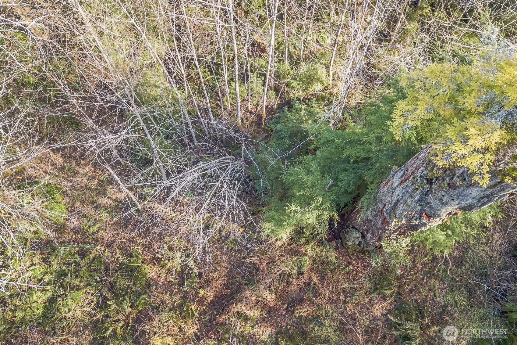 0 Xx W Reller Road Property Photo 28