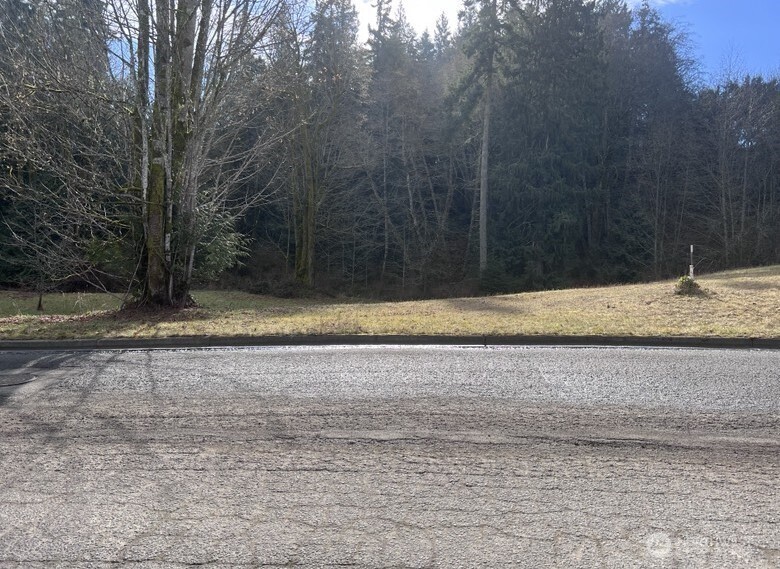 0 Lot 17 Delguzzi Dr Property Photo 4