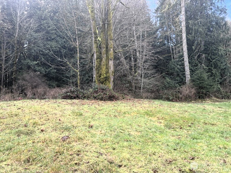0 Lot 17 Delguzzi Dr Property Photo 7