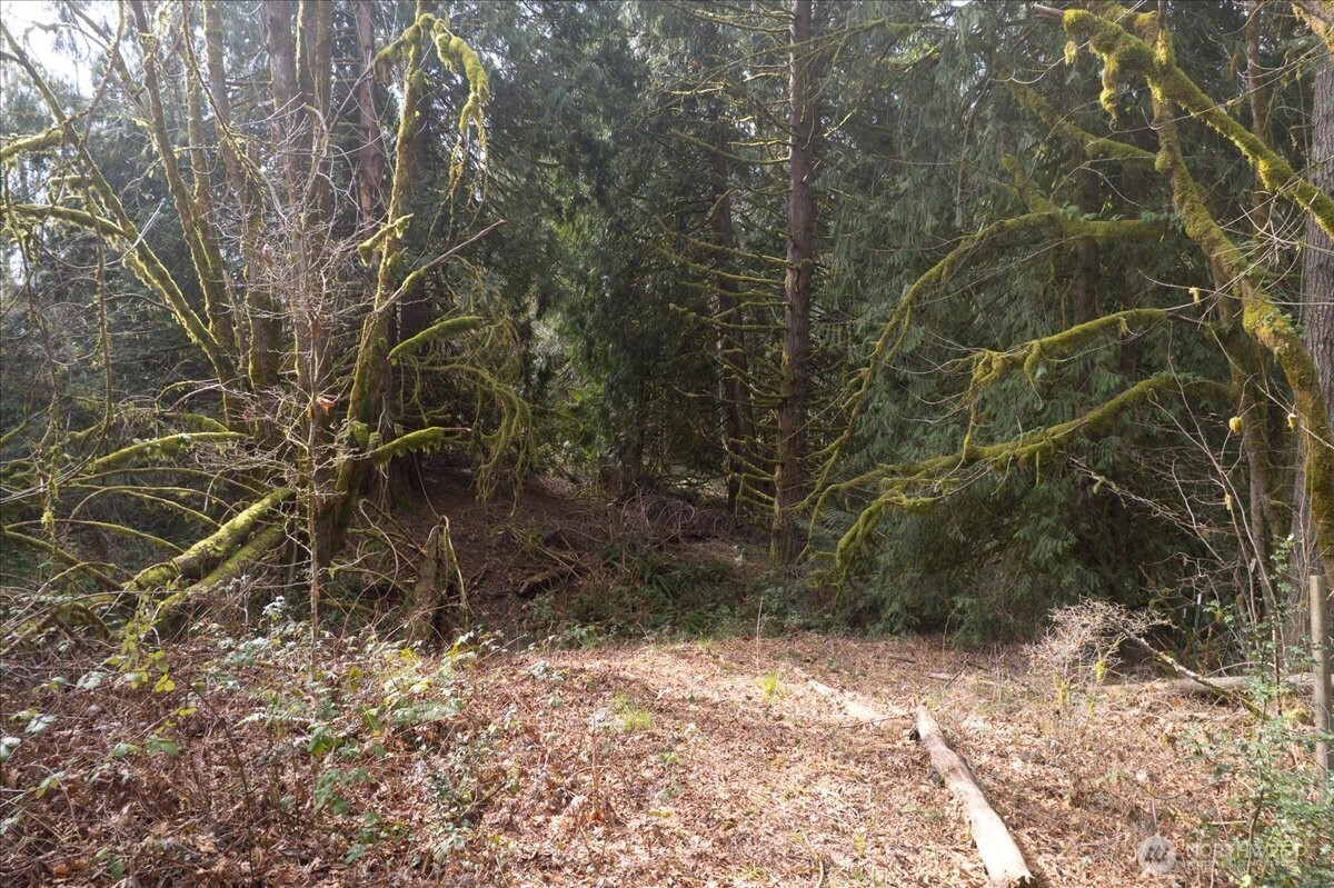 0 Ne 339th Street Property Photo 13