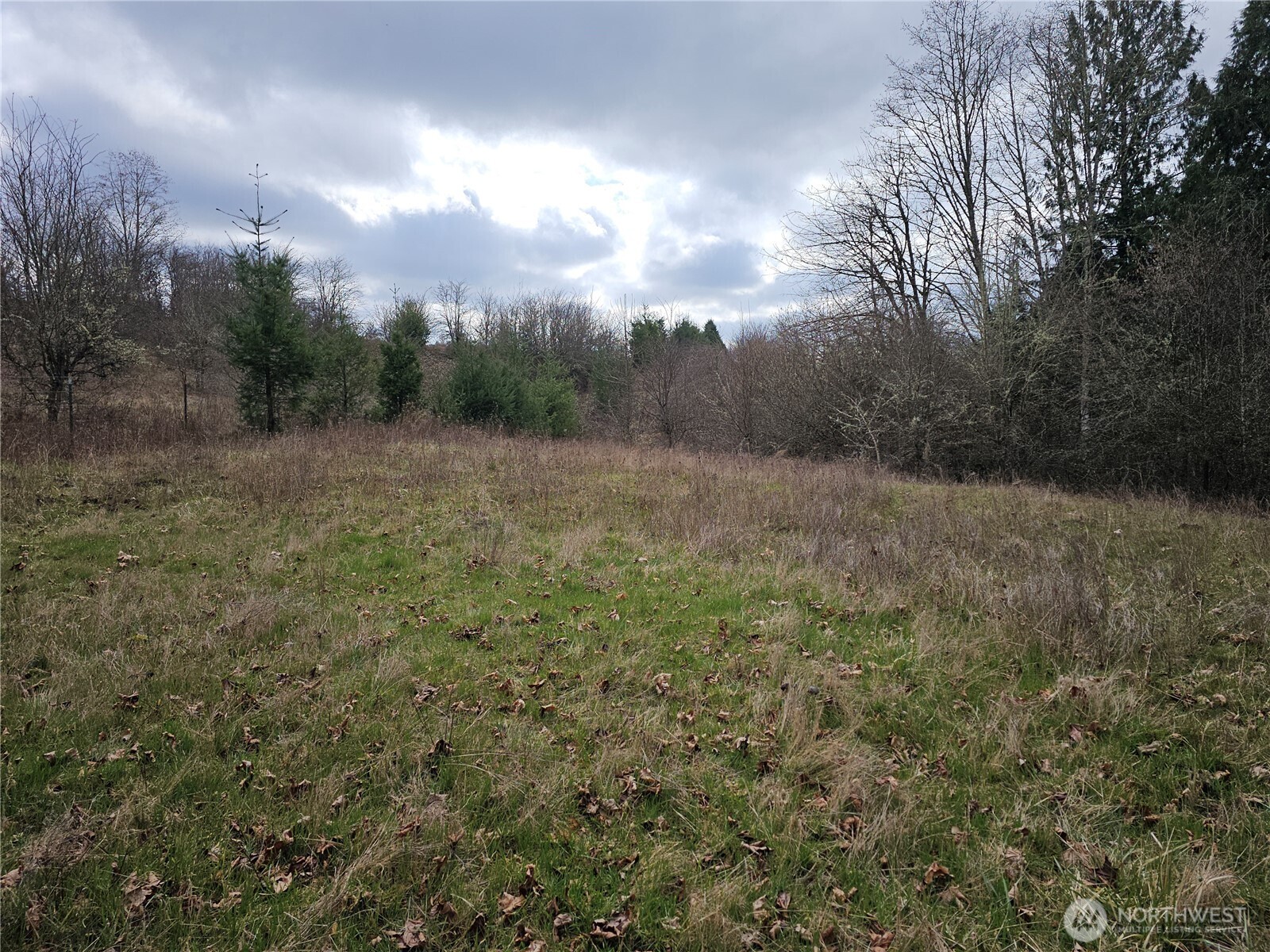 0 Ne 339th Street Property Photo 29