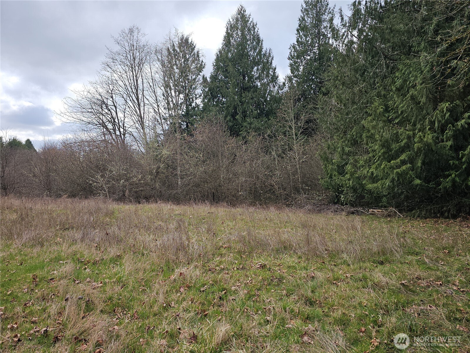 0 Ne 339th Street Property Photo 30