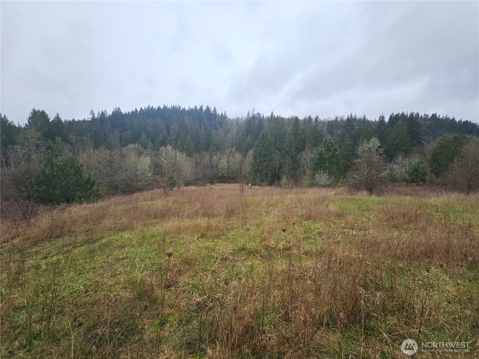 0 Ne 339th Street Property Photo 31