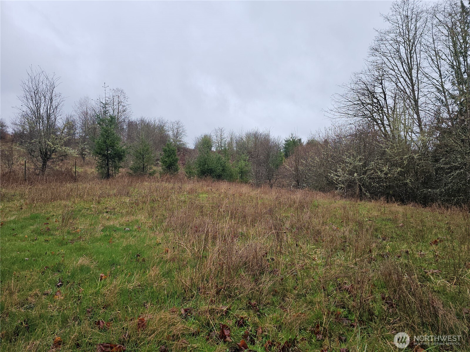 0 Ne 339th Street Property Photo 33