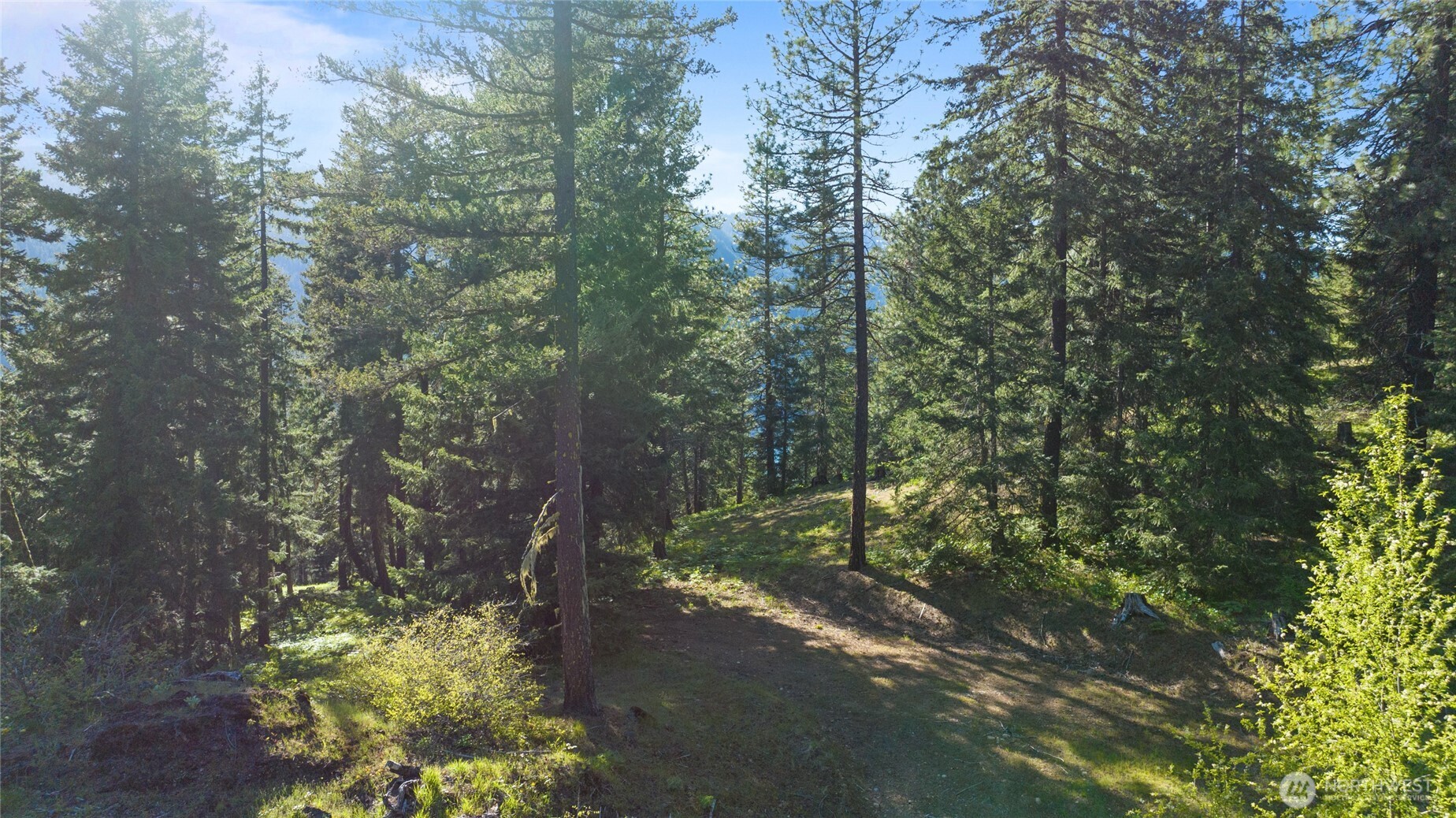 3 Newport Creek Loop Property Photo 2
