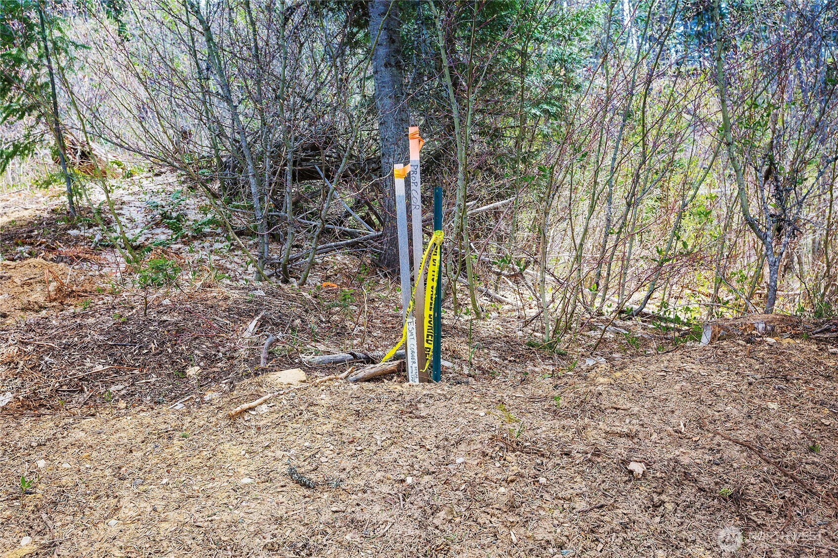 0 Lot H R&r Heights Drive Property Photo 6