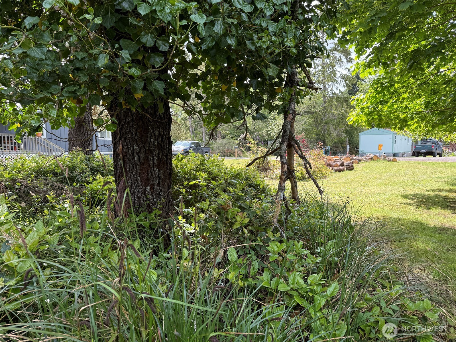 1305 322nd Place Property Photo 6