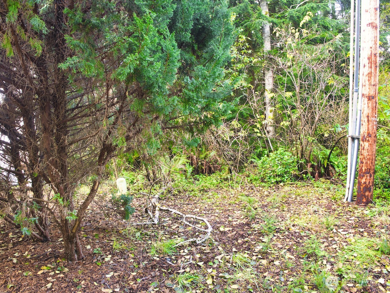 0 Summit Avenue Property Photo 2