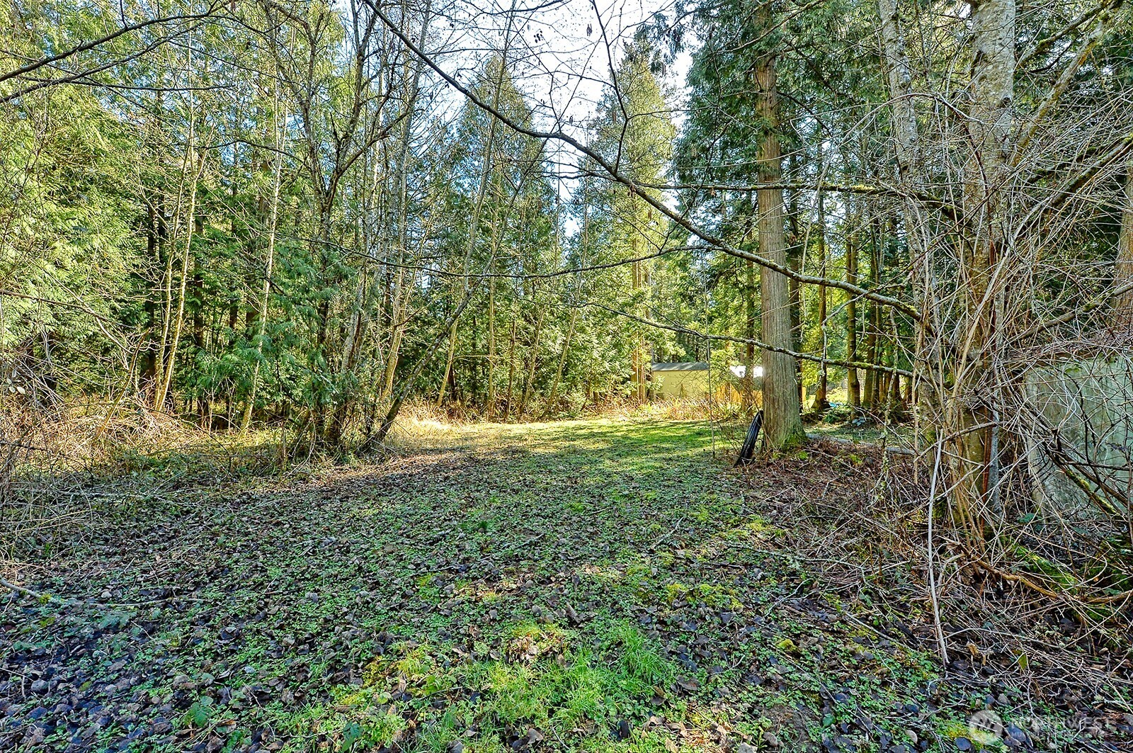 0 Xx Lot 55, Carson Road Property Photo
