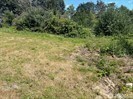 0 2xx Sw 296th Street Property Photo 3