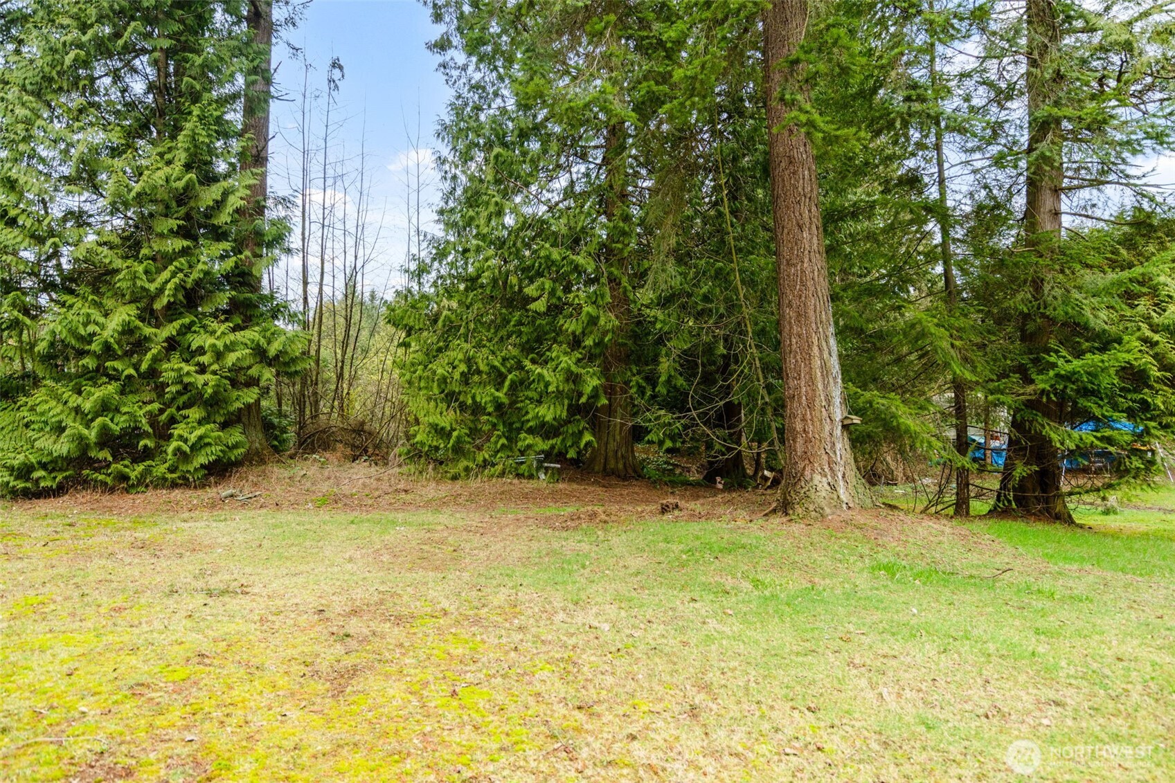 7876 Crockett Road Property Photo 5