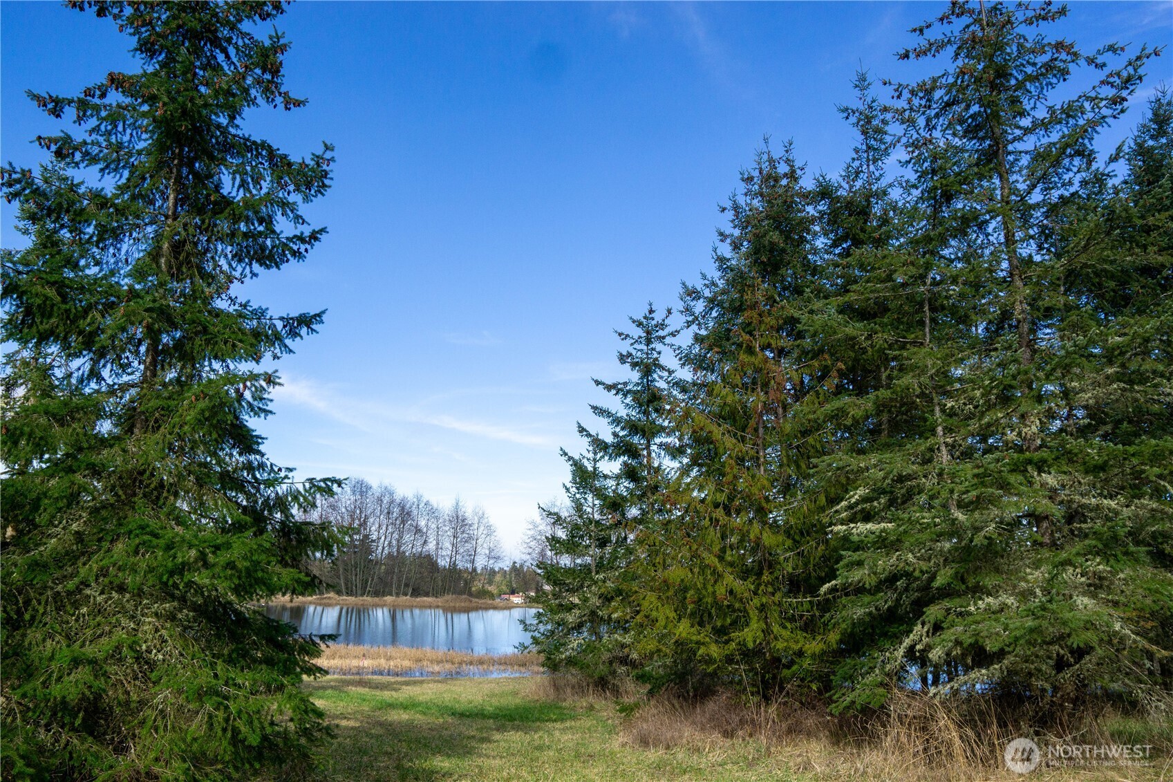 136 Bonneville Lane Property Photo 17