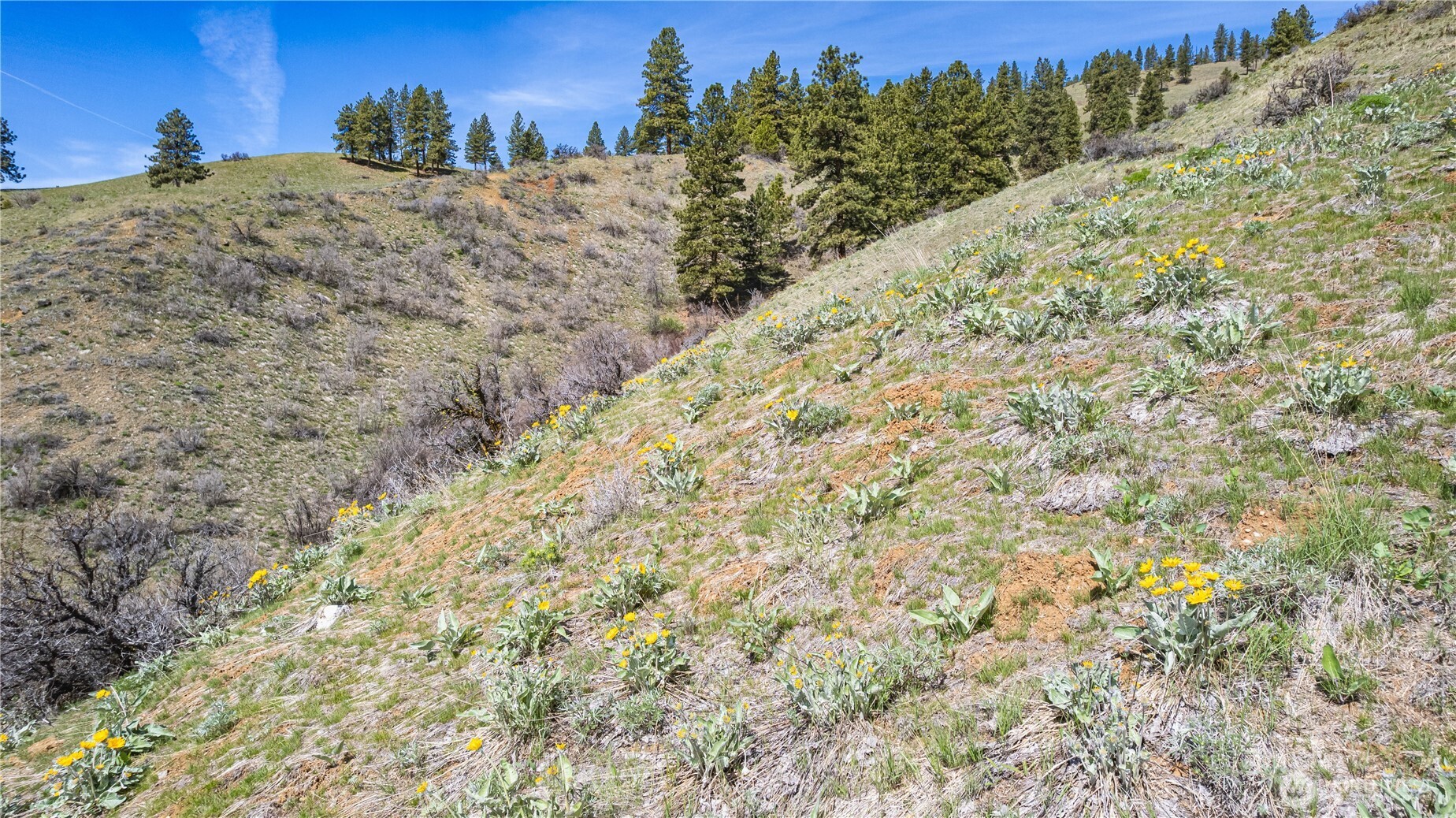 9640 Nahahum Canyon Road Property Photo 4