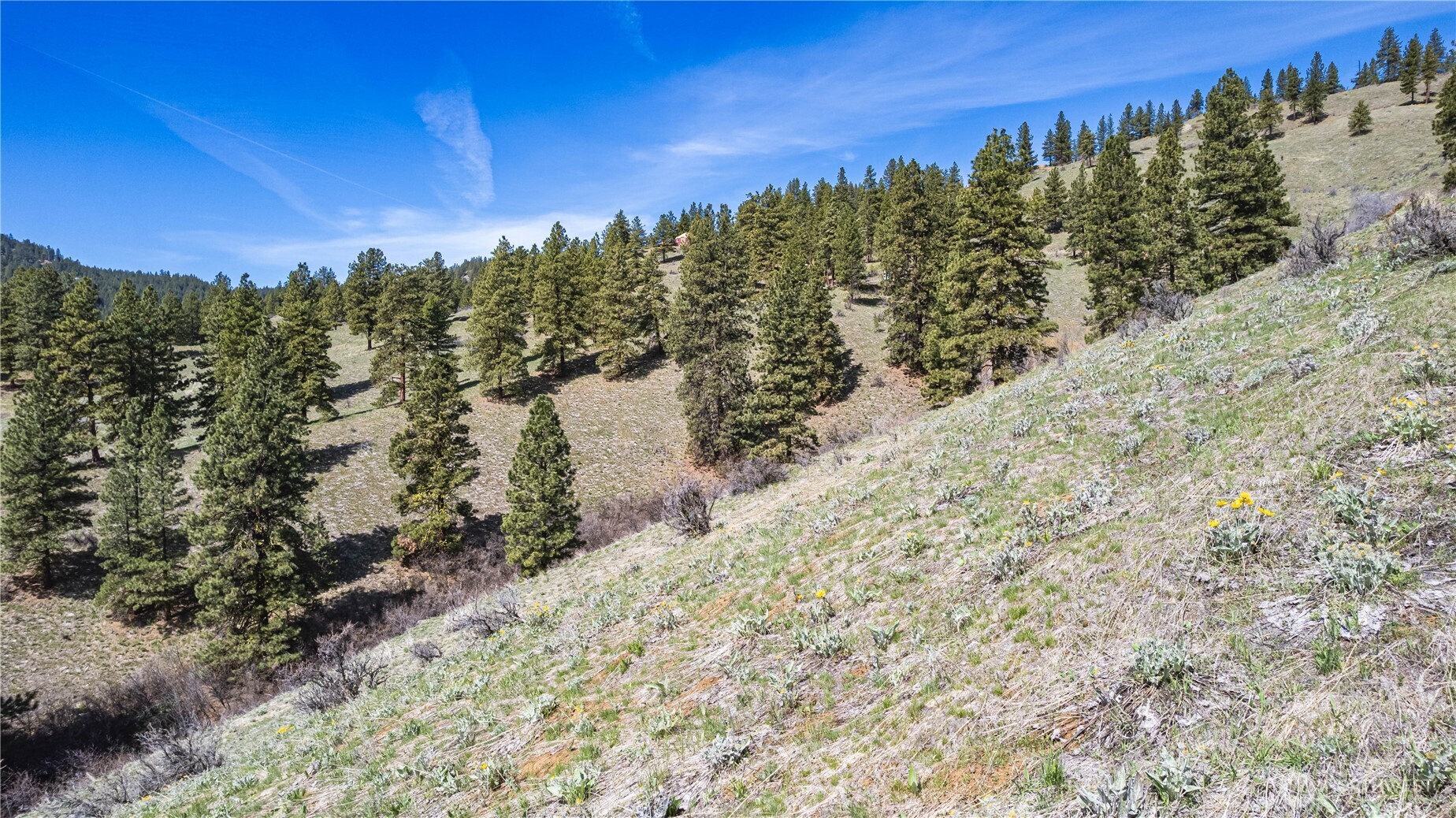 9640 Nahahum Canyon Road Property Photo 20