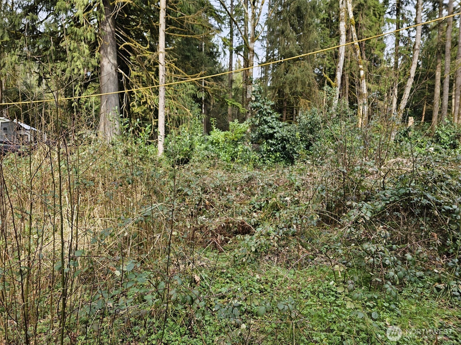 23219 Alder Drive Property Photo