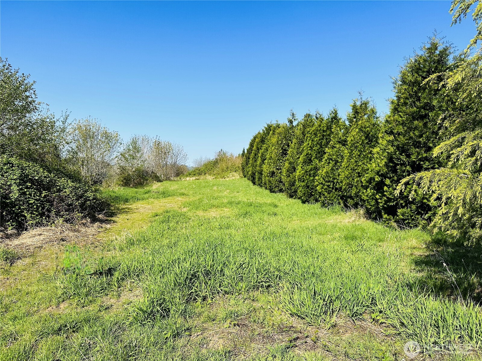 295 Degoede Drive Property Photo
