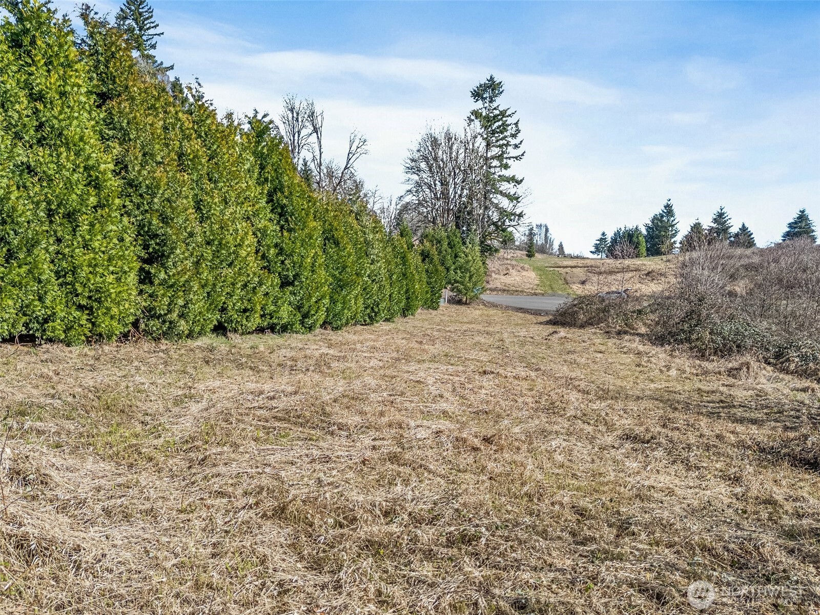 295 Degoede Drive Property Photo 11