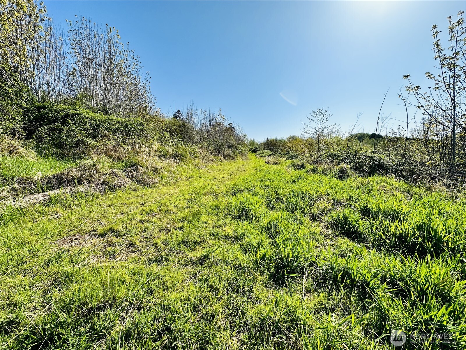 295 Degoede Drive Property Photo 27