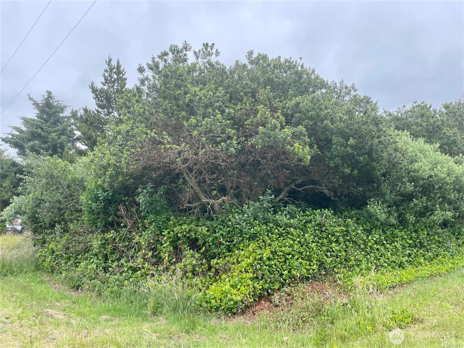 998 Texmar Avenue Property Photo 21