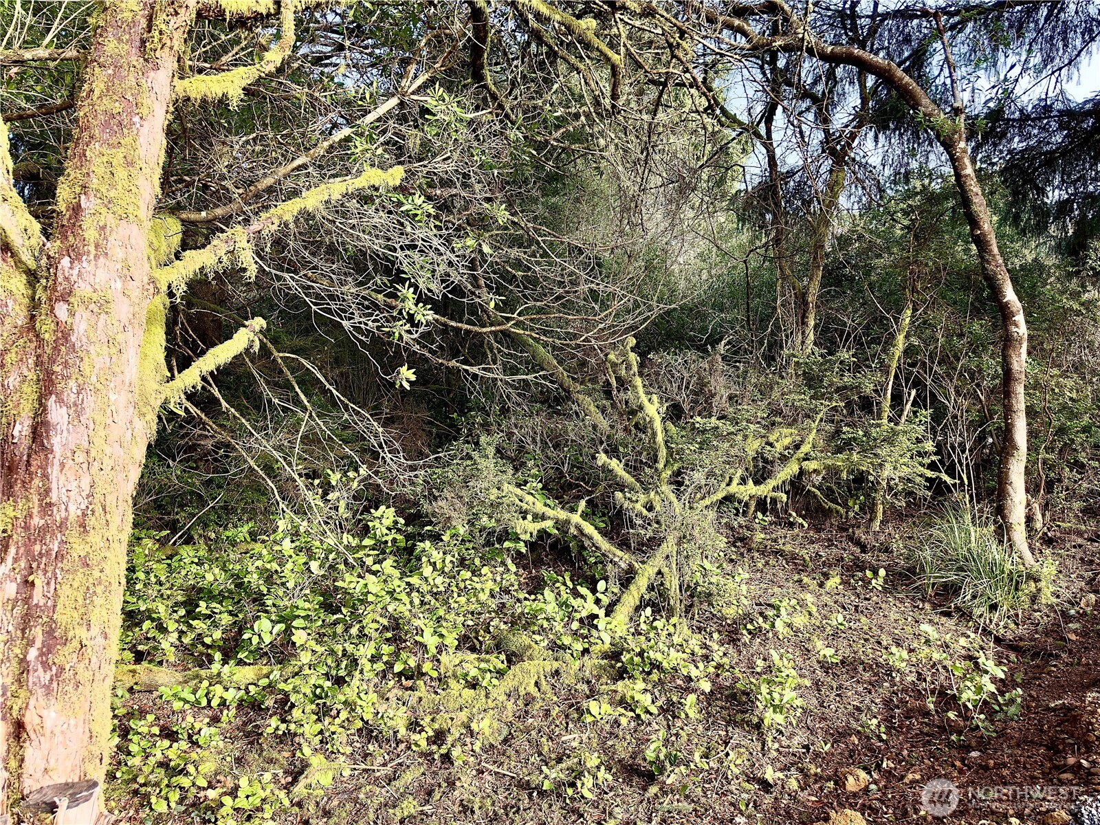 153 S Oar Loop Property Photo 15