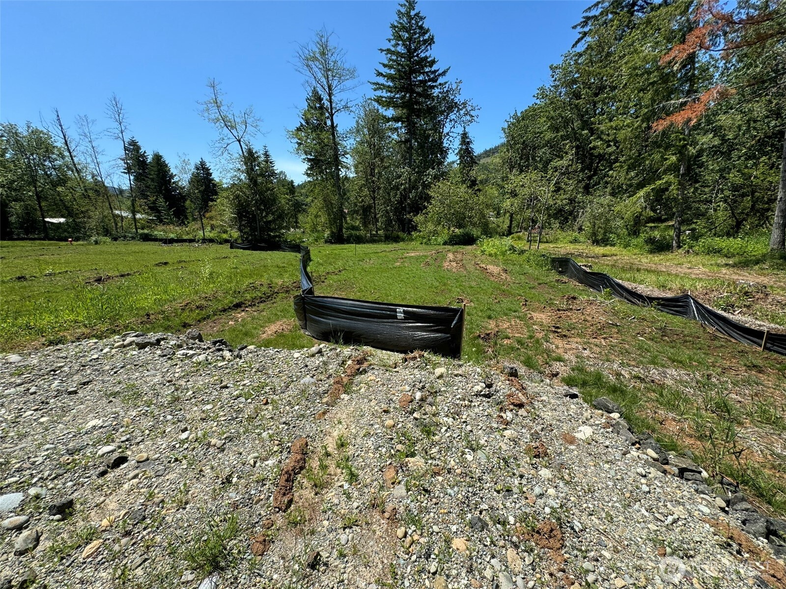 849 Wilson Road Property Photo 9
