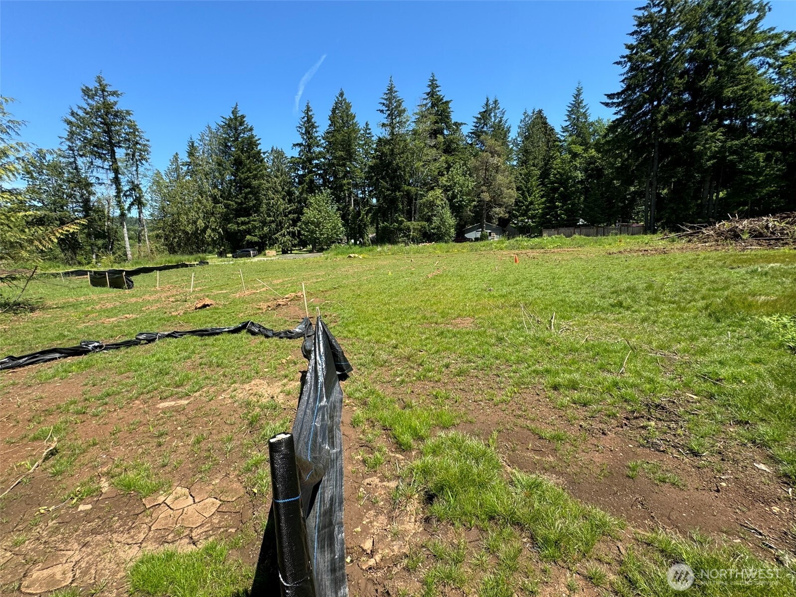 849 Wilson Road Property Photo 14