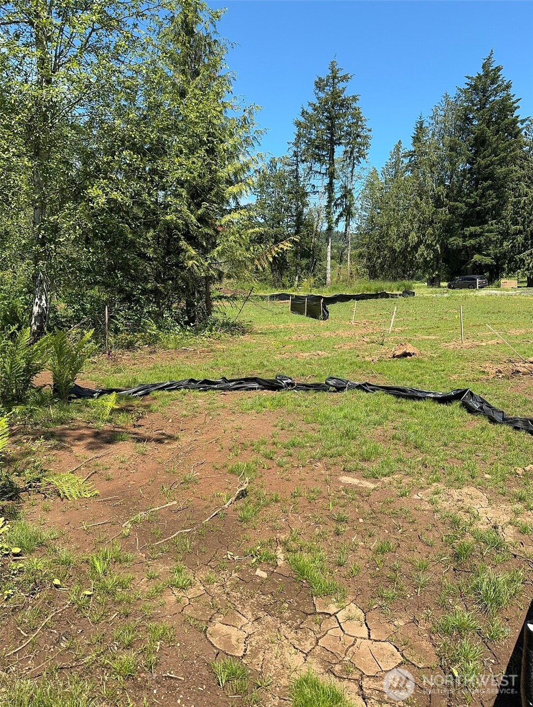 849 Wilson Road Property Photo 15