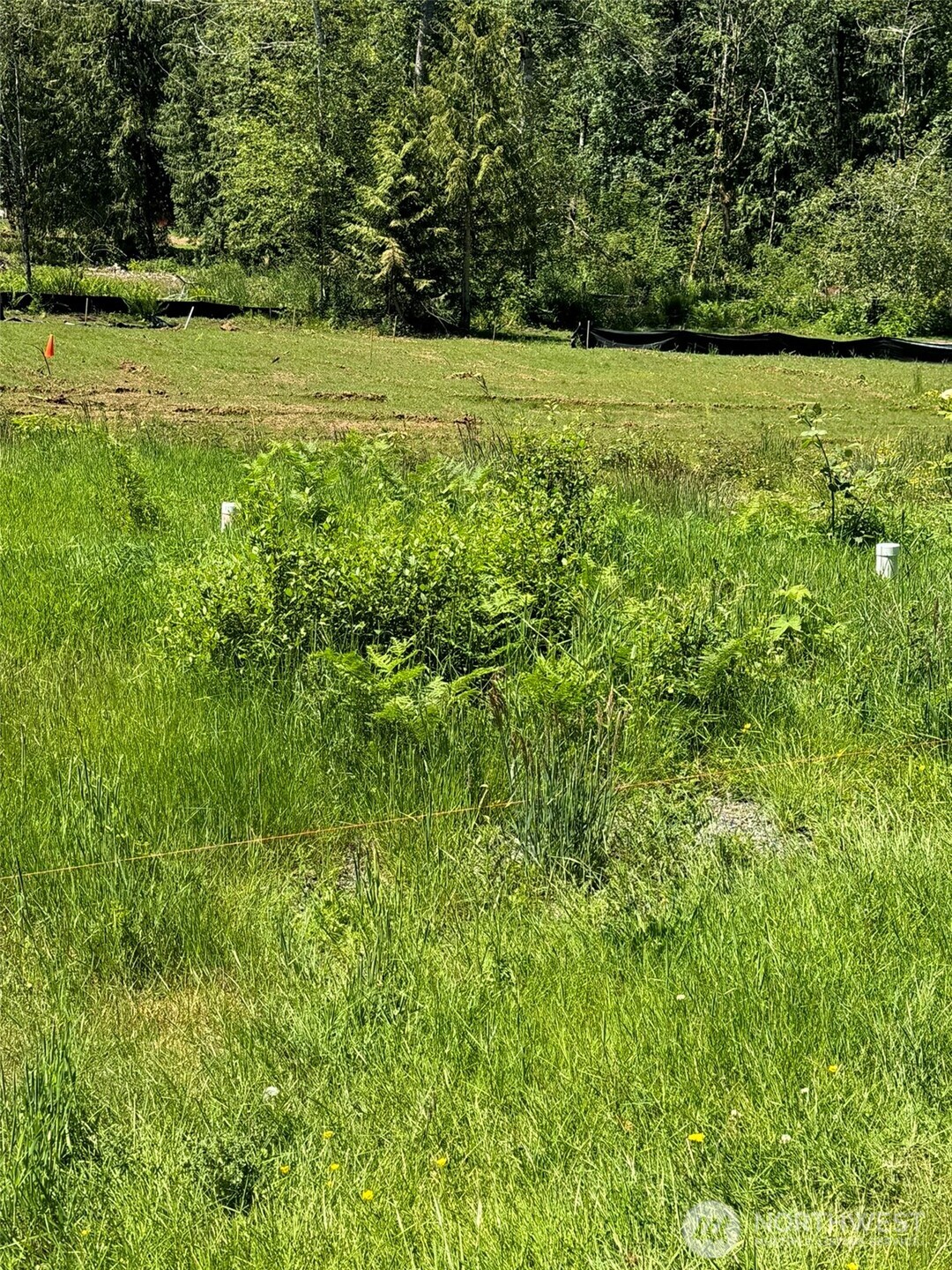 849 Wilson Road Property Photo 26