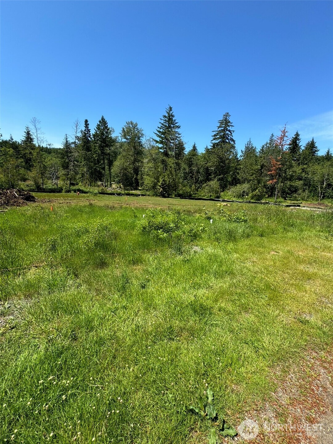 849 Wilson Road Property Photo 27