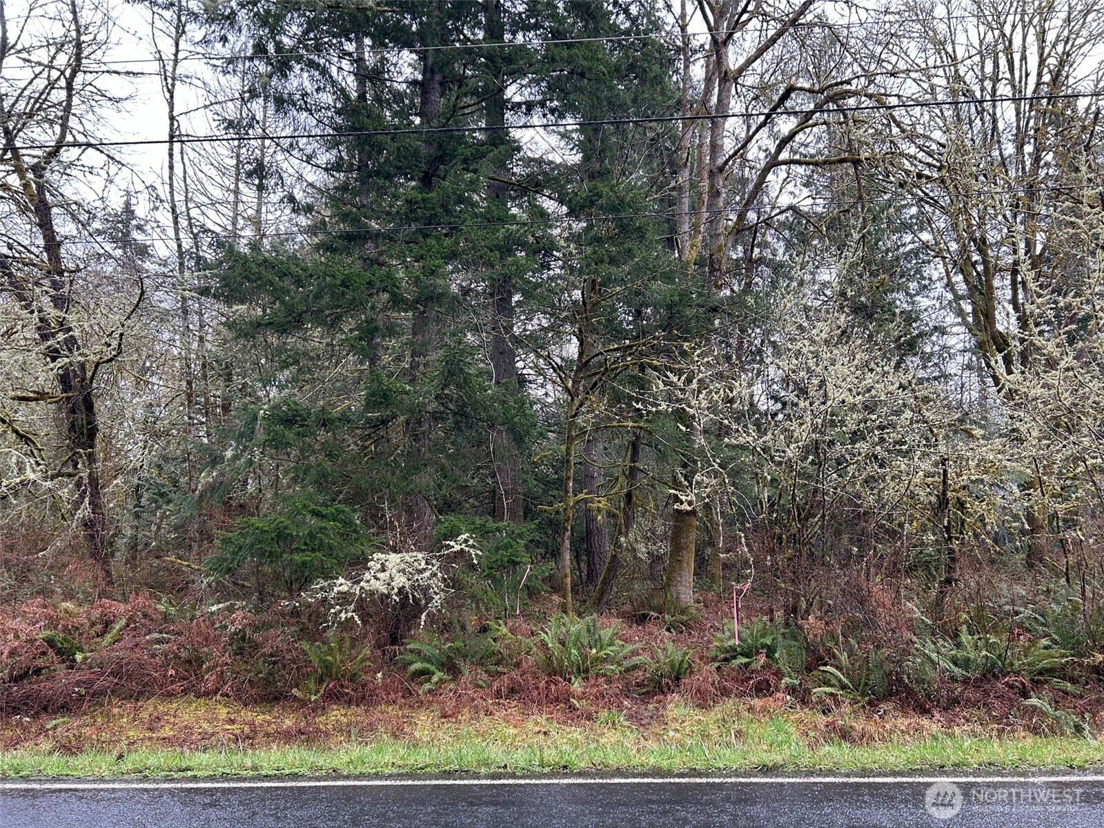 6126 Woodard Bay Road Property Photo